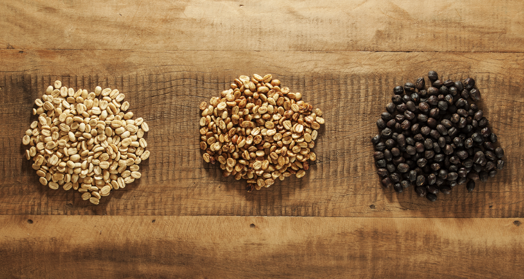 The Stages of Honey Processed Coffees: The dance of fermentation insid ...