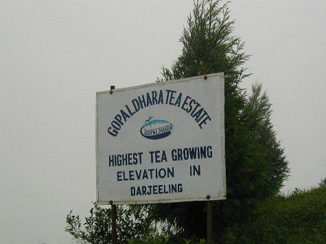Darjeeling Gopaldhara Estate sign