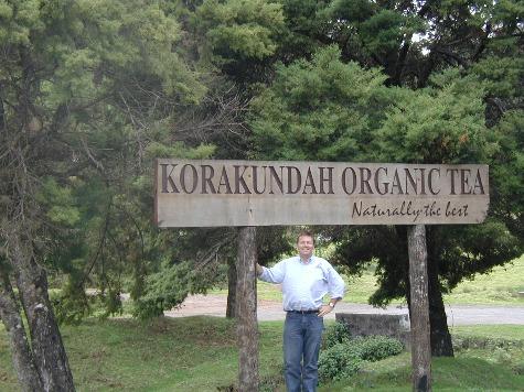 VMCT at the Korakundah Tea estate