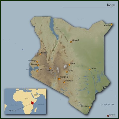 Kenya Peaberry